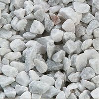 Gravier décoratif blanc pour aquarium 10 kg
