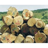 Forst Markierungsspray orange SOPPEC PA131316