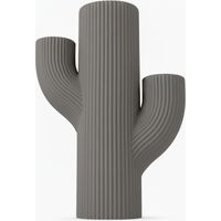 Pot à cactus gris, un pot moderne pour plantes succulentes et cactus.