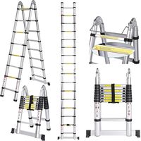 Escalera Telescópica Extensible, Escalera Plegable de Aluminio, Peldaños Retráctiles Capacidad de Carga Máxima 150 Kg 5M(2,5m + 2,5m)