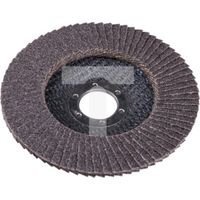 Lamellenscheibe expert flap disc 125 mm P60