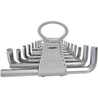 Set di chiavi a brugola maschio 6 punte lunghe 1,5 a 19 mm - 18 pezzi