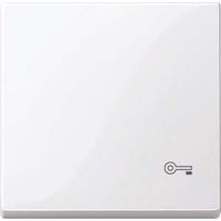 MERTEN WIPPE FÜR CLÉ DE PROGRAMMATION, SYSTEM M, ACTIVE BLANC BRILLANT MEG3303 0325