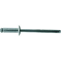 Rivetto a Strappo Friulsider in Alluminio 4,0 x 14 10 Confezione 100 Pezzi
