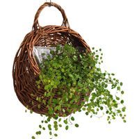 Paniers muraux tressés à la main en rotin naturel pour mariage, cuisine, chambre d'enfant, maison