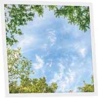 Dalle LED Imprimée 60x60 cm - Motif Horizon Arboré - Lumière Blanc Neutre 4000K - Panneau Lumineux pour Plafond Bureau Salon Cuisine - Facile à Installer