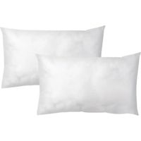 Coussins de Garnissage - Lot de 2 - Fibres Recyclées - Gonflant Optimal - Pour Canapé et Fauteuil - Blanc 50x30 cm