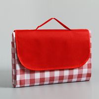 200 x 200 cm Picnic Mat Blanket Waterproof Moisture Resistant Large Foldable Camping Travel Beach Garden Tablecloth (Foldable into Bag) - Red