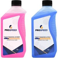 PROTETTIVO PER RADIATORI lt 1 - colore rosso