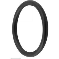 Zubehoer Isiflo O-Ring 195 16mm