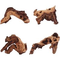 Mopani Wurzel M 15-25 cm