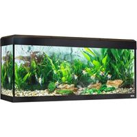 Fluval Roma Acuario LED Bluetooth 240L, Nogal