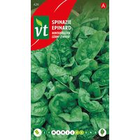 Épinard Géant D'Hiver - Ca. 14 gr (Livraison Gratuite)