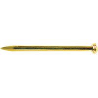 SPILLI PER GANCI 'X' mm 1,40 x 25 pz 100
