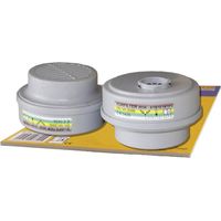 Leipold-Doehle Eurfilter ETNA filtre ABEK1P3 2 pièces
