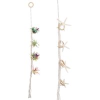 Support pour Plantes Grimpantes - Tuteur pour Rosiers et Fleurs d'Intérieur - Cadre Fixe