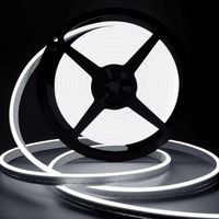 Ruban Led 10m, 12v 6000k Néon Blanc Bande Led Lumineuse, Ip65 Etanche Silicone Découpable Flexible Néon Lumière Pour Chambre, Cuisine, Décoration