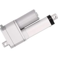 Drive System Europe DSZY1-24-40-100-POT-IP65 cilindro eléctrico negro
