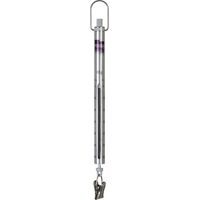 Peson Micro 60g Pesola