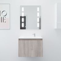 Meuble PROLINE 70 cm avec plan vasque et miroir Prestige- Bois- Plan vasque en Résine