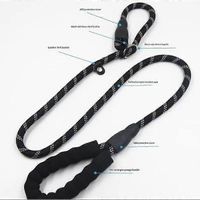 Laisse/licol/collier de tête/harnais anti-traction en forme de 8 pour chien de chasse