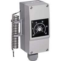 Frostschutz-Thermostat einstellbar, max. 3600 Watt