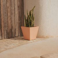 CAMOMILA RÚSTICA Macetero Cuadrado de Interior y Exterior Para Plantas y Flores Muy Resistente al Paso del Tiempo. Hecho de Polietileno en España - Terracota