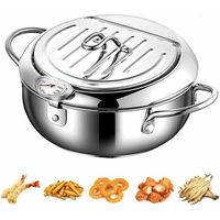 - Friggitrice in acciaio inossidabile in stile giapponese con coperchio con termometro e scola olio, padella antiaderente per cucina