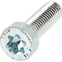 TC Torx M6X12 Acier 8.8 Zingué Blanc ISO 14580