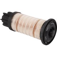 Filtro LANDINI 6516149M91