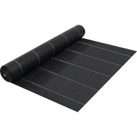 Unkrautfolie Schwarz 2x100 m PP vidaXL