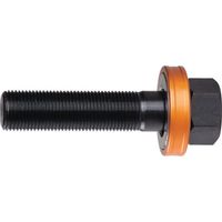 Vis de traction Alfra ( 4000814113 ) longueur 55 mm Ø 19 mm