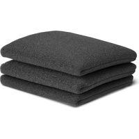 Lot de 3 filtres mousse pour aspirateur Vacmaster