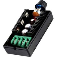Controlador de motor de velocidad CC ajustable de 9-50 V/40 A/2000 W