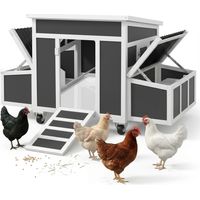 Pollaio in Legno per 1-6 Galline con 2 Nidi, Tetto Apribile, Vassoio Estraibile, Grigio Scuro