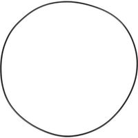 O-Ring CI028668 CARRARO CI028668