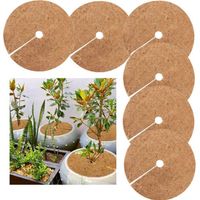Disques de paillis (lot de 6), protection hivernale pour plantes en pot, tapis de protection pour plantes, tapis de coco biodégradable pour le jardinage, 20 cm