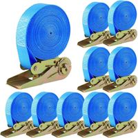TLGREEN 10 Stück Spanngurte mit Ratsche, 6m Lange 25mm Ratschengurte, Robust Zurrgurte Set, Belastung 800 kg, für Ladungssicherung (Blau)