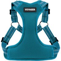 Voyager Verstellbares Hundegeschirr mit Reflektorstreifen by Best Pet Supplies - Strapazierfähige Ganzkörperweste ohne Zugkraft mit Leinen-D-Ring, atmungsaktiv, Türkis, size XS