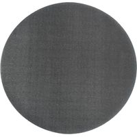 Hegner Haftscheibe D. 300 für Klettbefestigung für HSM 300 / WSM 300, 06400035