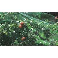 RETE DI PROTEZIONE ANTIUCCELLI H 2X10 M VERDE- 1,0 pz