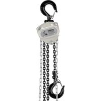 Wiltec Palan à chaîne manuel V21-1 ultraléger et compact – Capacité de levage 1 t – Hauteur de levage 3 m – Chaîne 3 m – Palan mécanique de levage pour atelier