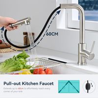 Mitigeur évier inox 304 argenté – Pivotant 360°, douchette extractible – 2 modes de jet, eau chaude et froide