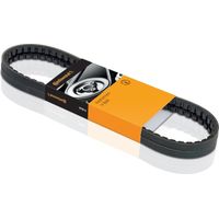 Correa multicanal CONTITECH 5 PK 1646