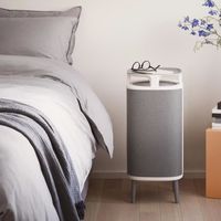 Purificador de aire Blueair 5240i 26 W Gris