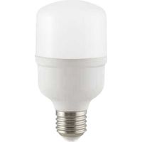 Lampadina a LED E27 A80 Corn Shaped 30W 4000K° 2700 lm Plastica