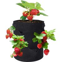 10 Gallon Strawberry Grow Bags with 8 Grow Pouches Planter Box Vegetable Grow Bag Breathable Garden Growing Bag with Handles for Potato Strawberry Fruits Vegetable Flower 14 x 18 Inch
