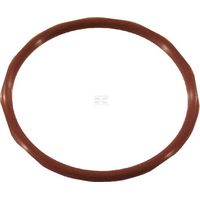 O-Ring Viton TEEJET CP77172222VI