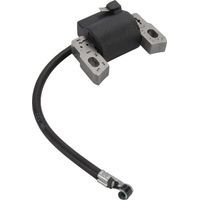 Bobina accensione BRIGGS et STRATTON 796499