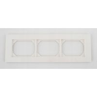 Rahmen vilma-electric express xp 500 Kunststoff 24,5 cm
